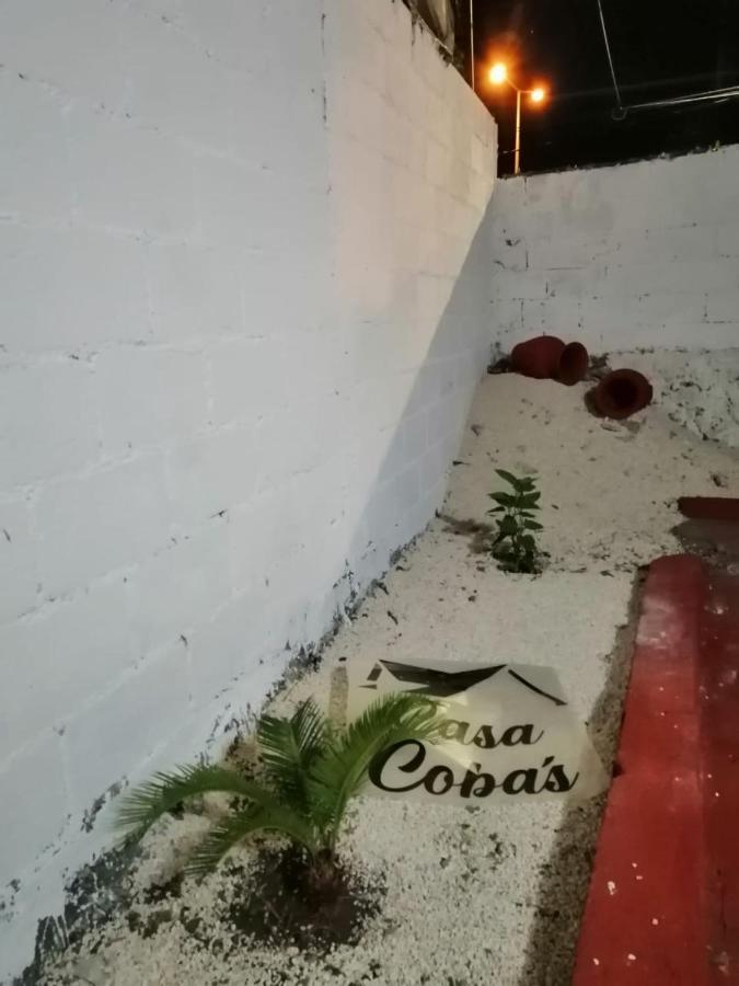 Cobas Departamentos Mérida Exterior photo